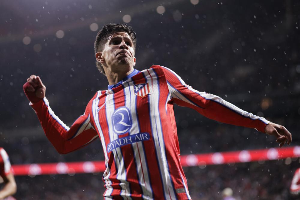 整个体育场 整个体育场